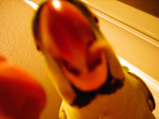 Image Image